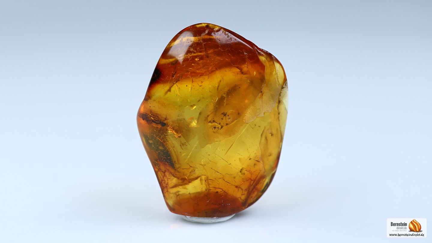 Trauermücke als Inkluse, in Bernstein eingeschlossene fossile Trauermücke